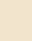 graphic of white stone color swatch