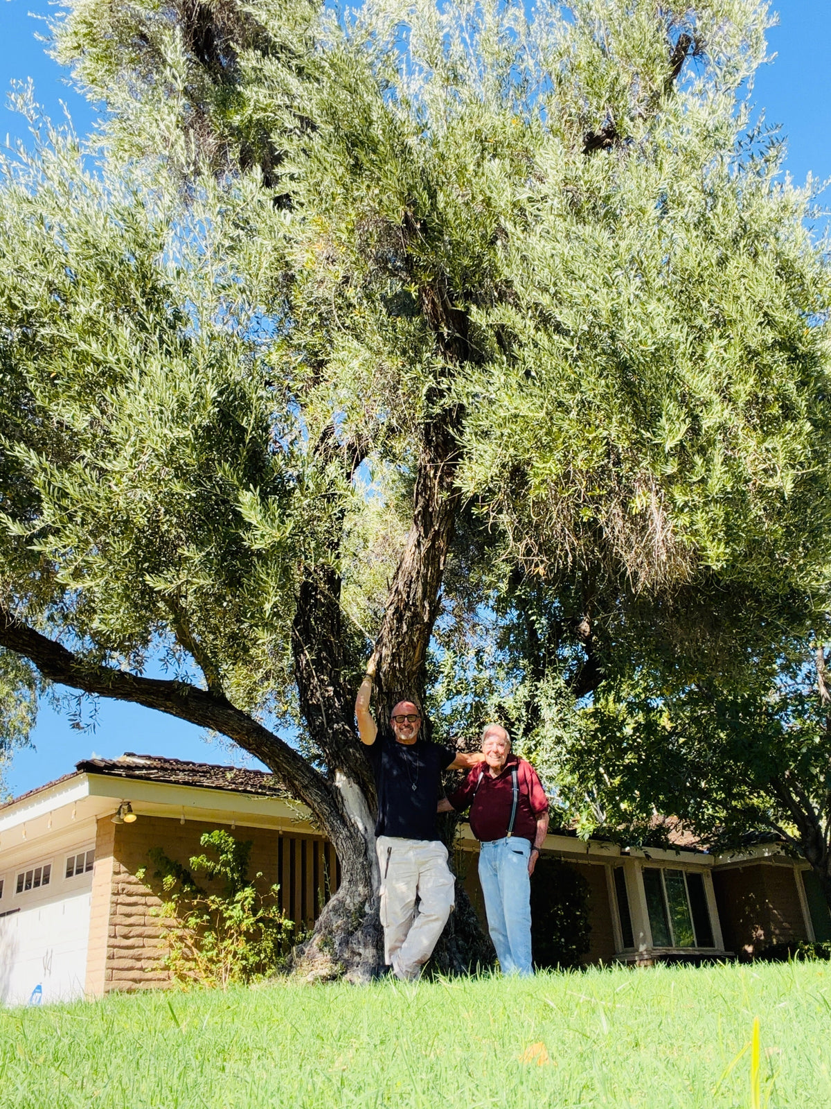 200,000 Trees — And We’re Just Getting Rooted