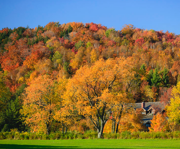 THE STORY BEHIND OUR COLORS