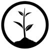 Trees Planted
