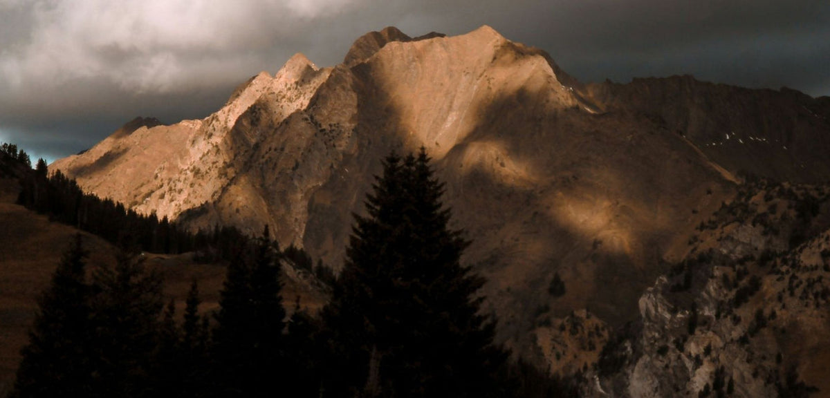 Slideshow Image 2