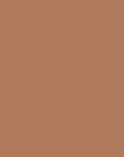 Terracotta color